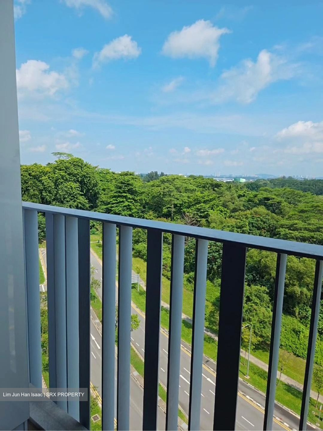 Parc Botannia (D28), Condominium #608655881